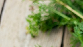 Retiran zanahorias del mercado por brote de E. Coli.