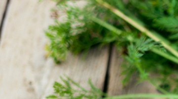 Retiran zanahorias del mercado por brote de E. Coli.