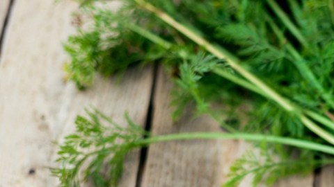 Retiran zanahorias del mercado por brote de E. Coli.