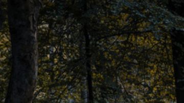 ¿Plan de vacaciones El Mercedes-Benz Clase G es una opción