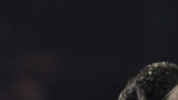 AMDEP5124. SAO PAULO (BRASIL), 22/08/2024.- Juan Izquierdo (abajo) de Nacional se desmaya este jueves, en el partido de vuelta de octavos de final de la Copa Libertadores entre Sao Paulo y Nacional en el estadio Morumbi en Sao Paulo (Brasil). EFE/ Isaac Fontana