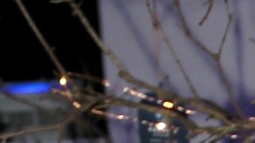 María Celeste desiguales