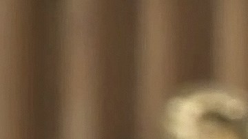 Emmanuel Palomares reconciliación Irina Baeva