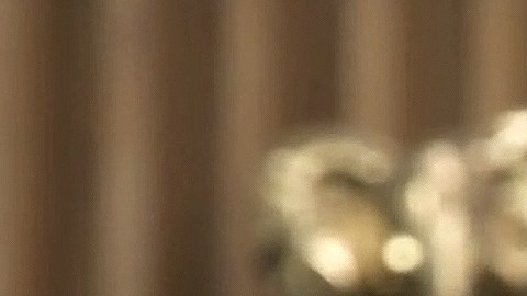 Emmanuel Palomares reconciliación Irina Baeva