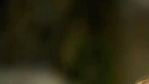 Angelique Boyer y Sebastián Rulli