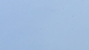 Un avión C-2A Greyhound aterriza en la cubierta del portaaviones USS Theodore Roosevelt, el 22 de julio de 2024.