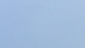 Un avión C-2A Greyhound aterriza en la cubierta del portaaviones USS Theodore Roosevelt, el 22 de julio de 2024.