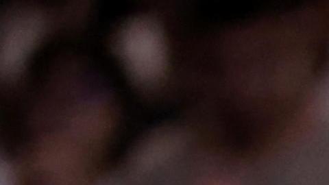 Las aficionados de Egipto apoyando a sus deportistas en estos Juegos Olímpicos París 2024.