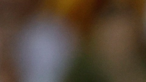 El delantero del FC Barcelona, Robert Lewandowski, lanza el penal para conseguir su segundo gol durante el partido de LaLiga ante el Valencia en el estadio de Mestalla.
