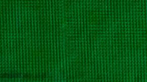 Lando Norris celebrando junto a Max Verstappen y Charles Leclerc, quienes completaron el podio en Países Bajos.