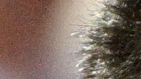 Paris (France), 04/08/2024.- Gold medal winner Novak Djokovic of Serbia poses for a photo during the medal ceremony for the Men Singles of the Tennis competitions in the Paris 2024 Olympic Games, at the Roland Garros in Paris, France, 04 August 2024. (Tenis, Francia) EFE/EPA/CAROLINE BLUMBERG