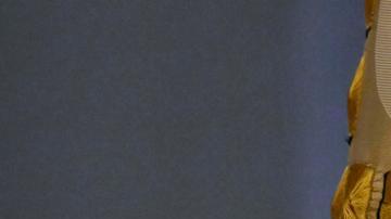 Papa reza por víctimas de la mpox, una "emergencia mundial"