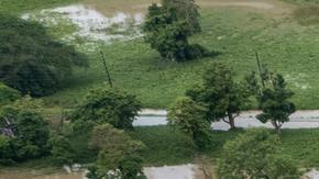 Miles sin electricidad en Bermudas tras el paso de Ernesto