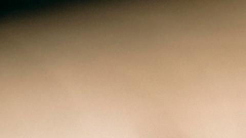Paciente muere en EE. UU. por rara enfermedad tras picadura