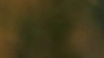 Zac Efron reaparece hospitalización