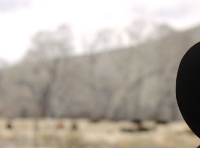 AMLO descarta dialogar con el embajador de EE.UU. sobre su reforma al Poder Judicial