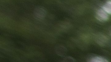 In this Aug. 5, 2017 photo Pit Ressler of Kiel's Foerde CrossFit pushes a sled during his third workout session at the fourth edition of the "Battle of Rostock", a CrossFit competition organized by the local CrossFit Box Sturmflut (German for storm flood), in Rostock, Germany. (AP Photo/Gero Breloer)