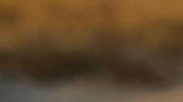 La Administración Biden presume baja de inmigrantes en la frontera.