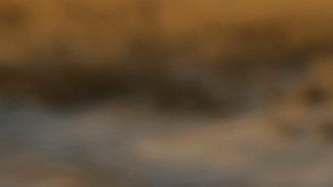 La Administración Biden presume baja de inmigrantes en la frontera.