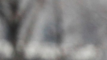 La gente coloca flores en el Memorial del 11 de septiembre en Nueva York.