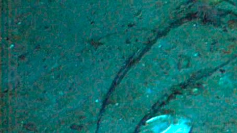 Familia de uno de los fallecidos en el Titan exige a OceanGate $50 millones