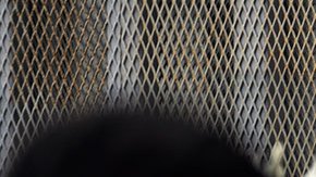 EE.UU. ampliará acceso de la aplicación para tramitar citas de asilo hasta el sur de México