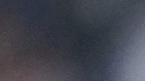 México es el actual ganador de la competición.