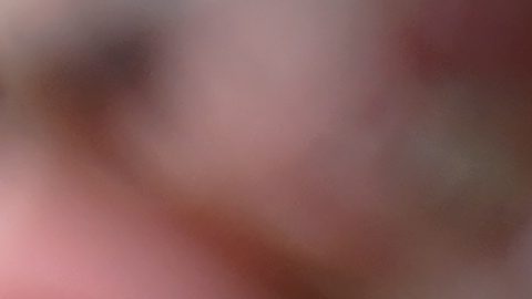 New England Patriots quarterback Matt Corral throws a pass during NFL football practice, Wednesday, Sept. 6, 2023, in Foxborough, Mass. (AP Photo/Steven Senne)