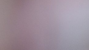 Martín Demichelis, exentrenador del Bayern.