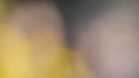 'Cucho' Hernández marcó dos goles y envió una asistencia en la final contra LAFC.