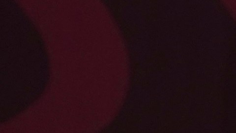 El presidente López Obrador pide a EE.UU. evitar injerencia en asuntos internos.