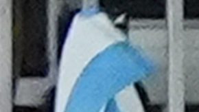 Messi junto a sus compañeros del Inter Miami.