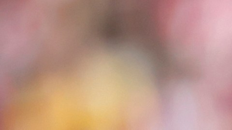 Lamine Yamal, delantero del FC Barcelona.