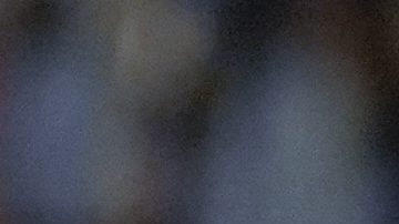 "La Araña" Álvarez celebra un gol con Argentina.