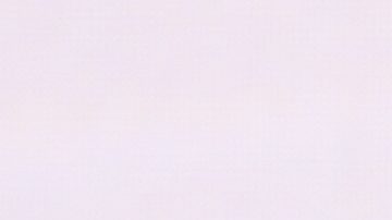 Florentino Pérez se mostró complacido tras el debut del futbolista francés.