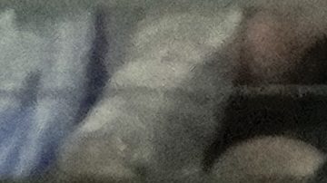 Barcelona midfielder Victor Pau, second from right, celebrates with teammates including midfielder Marc Casado (30) after scoring a goal against Manchester City during the first half of a Soccer Champions Tour match Tuesday, July 30, 2024, in Orlando, Fla. (AP Photo/John Raoux)