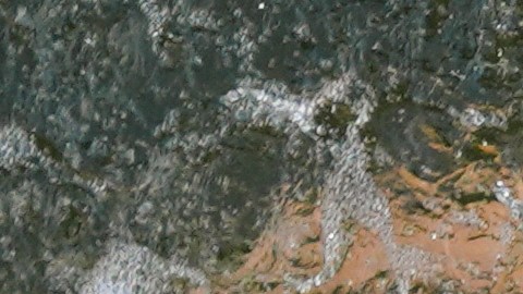 La parte de la natación en el triatlón de los Juegos Olímpicos París 2024 ha estado envuelta en polémica por las contaminadas aguas del río Sena.