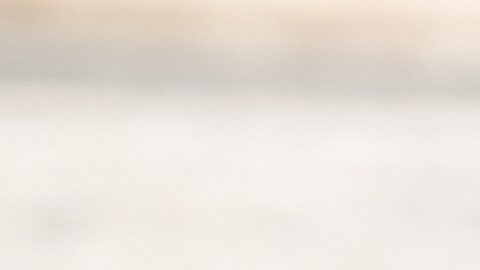 Pintado tras finalizar la prueba.