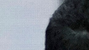 La nadadora eslovaca Tamara Potocka siendo retirada en camilla en una imagen que generó mucha preocupación en los Juegos Olímpicos París 2024.