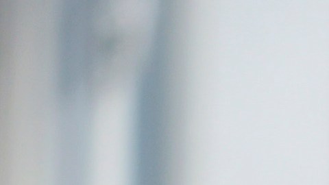 Biden explica que se retiró de la contienda electoral para evitar crear distracciones