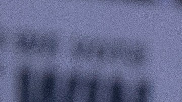 Harris y Walz realizaron su primer evento de campaña juntos en Filadelfia.