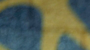 La vicepresidenta Kamala Harris logra el respaldo de LULAC.