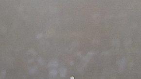 Marta durante sus últimos Juegos Olímpicos en París 2024.