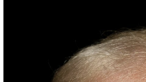 Donald Trump asegura a Elon Musk que la "inmigración ilegal" le salvó la vida