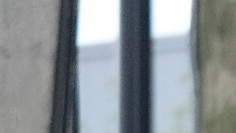 Chicago se blinda ante las protestas propalestinas previstas en la convención demócrata