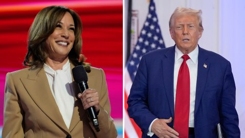 La vicepresidenta Kamala Harris logra mayor respaldo entre latinos.