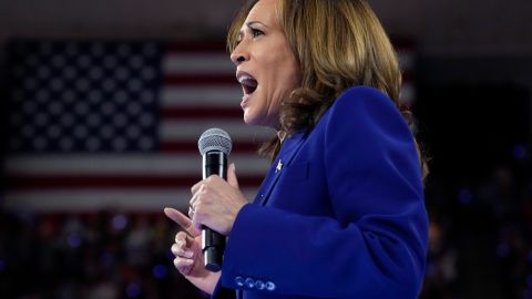 Democratic presidential nominee Vice President Kamala Harris speaks at the Fiserv Forum during a campaign rally in Milwaukee, Tuesday, Aug. 20, 2024. (AP Photo/Jacquelyn Martin)