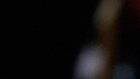 La vicepresidenta hizo una referencia somera a la inmigración.