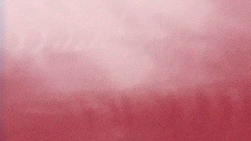 La candidata presidencial demócrata, la vicepresidenta Kamala Harris, saluda al salir de su autobús de campaña en Savannah, Georgia.