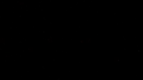 Bees fly in front of a beehive in the outskirts of Frankfurt, Germany, Monday, April 8, 2024. (AP Photo/Michael Probst)